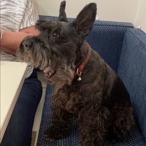 Meet your Posher, Donaida